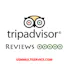 Buy TripAdvisor Review