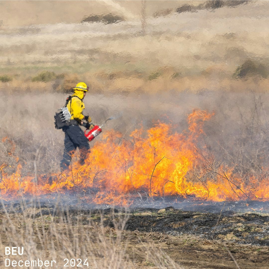 BurnBot - Robots that prevent wildfires media 7