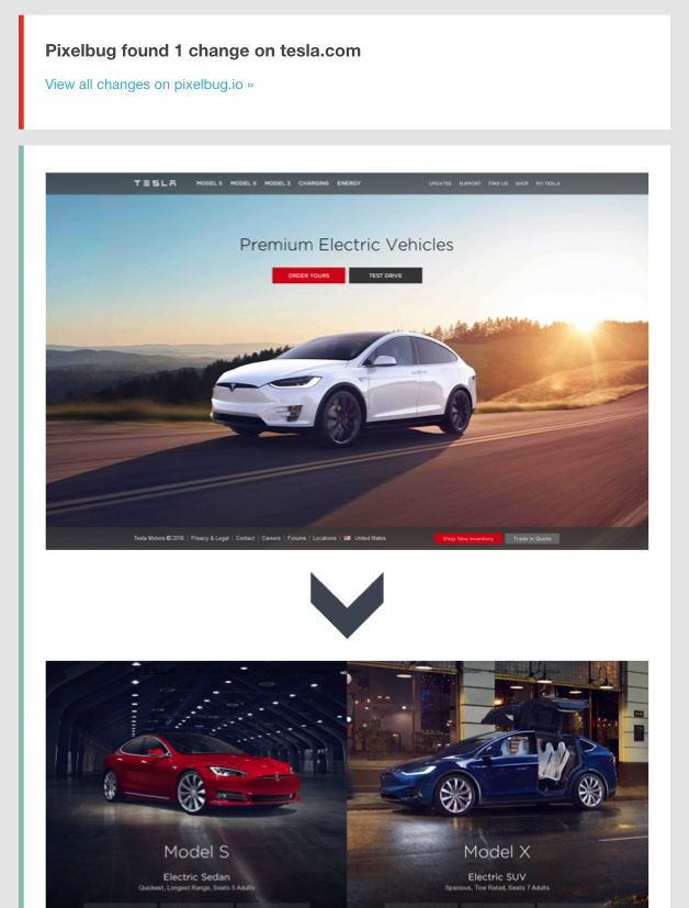 Pixelbug gallery image