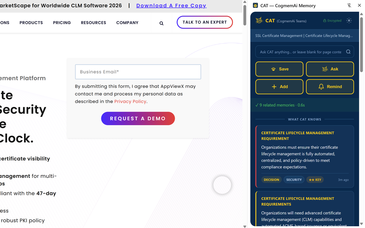 CAT - AI Memory for Browser & Email gallery image