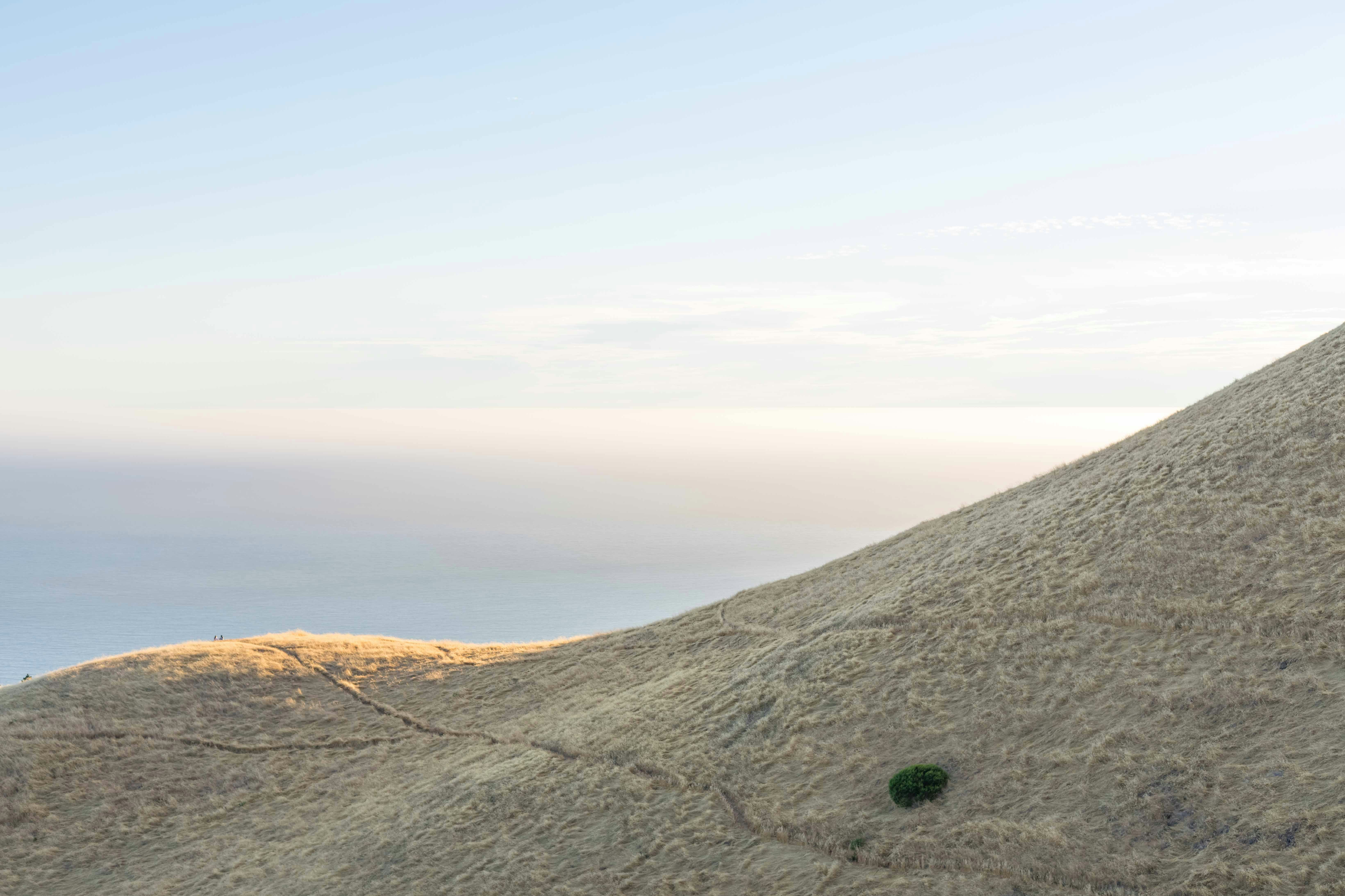 ProductHunt banner for @salas