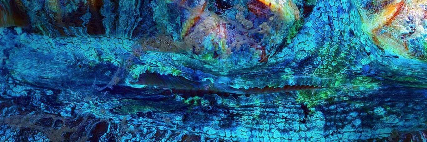 Henry Boldizsar cover