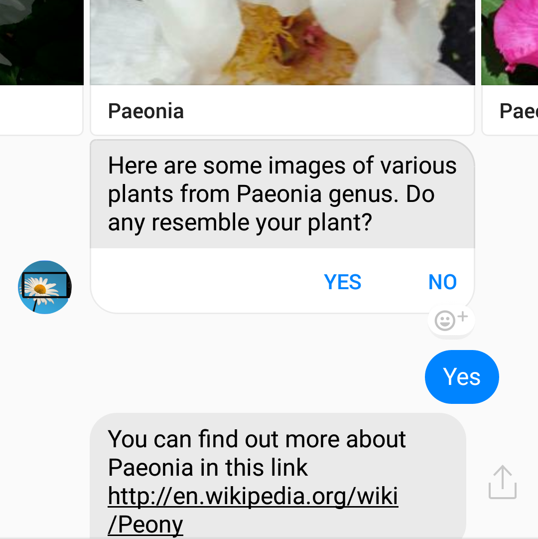FlowerChecker chatbot gallery image