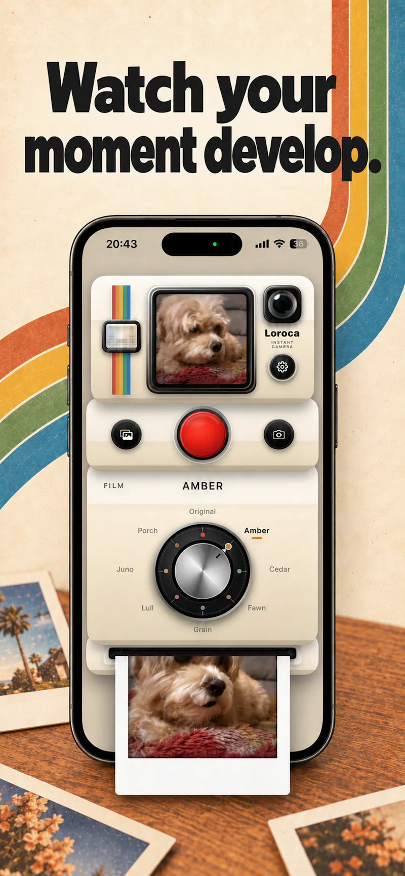 Loroca screenshot 4