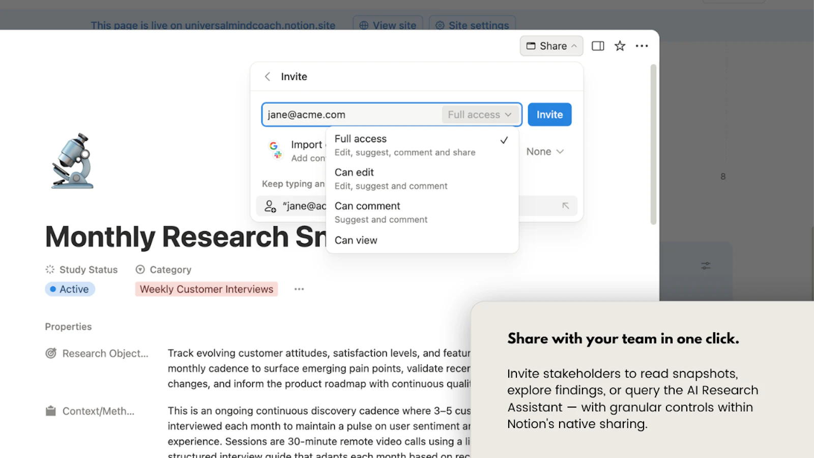 AI Customer Research Hub in Notion screenshot 10