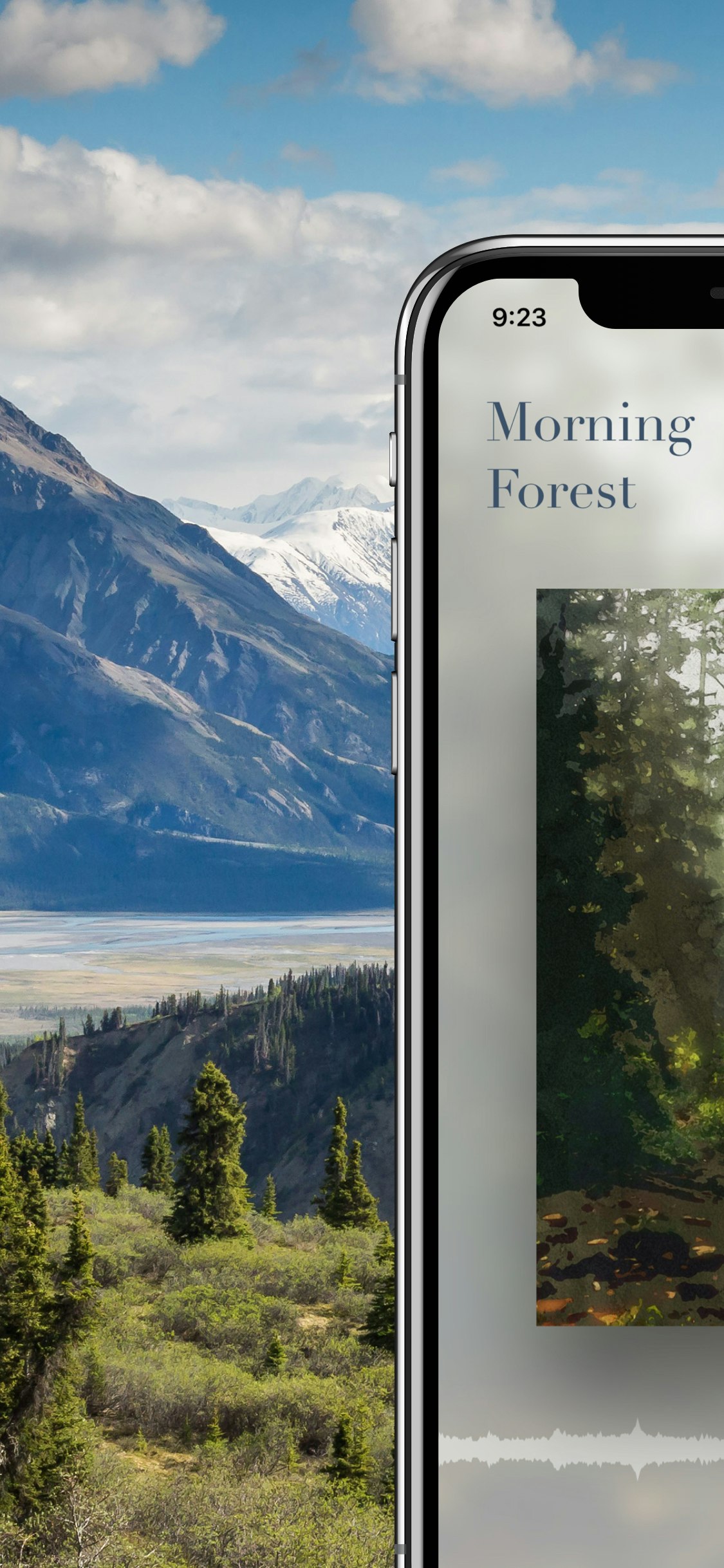 Sense'd - ASMR Stress Relief gallery image