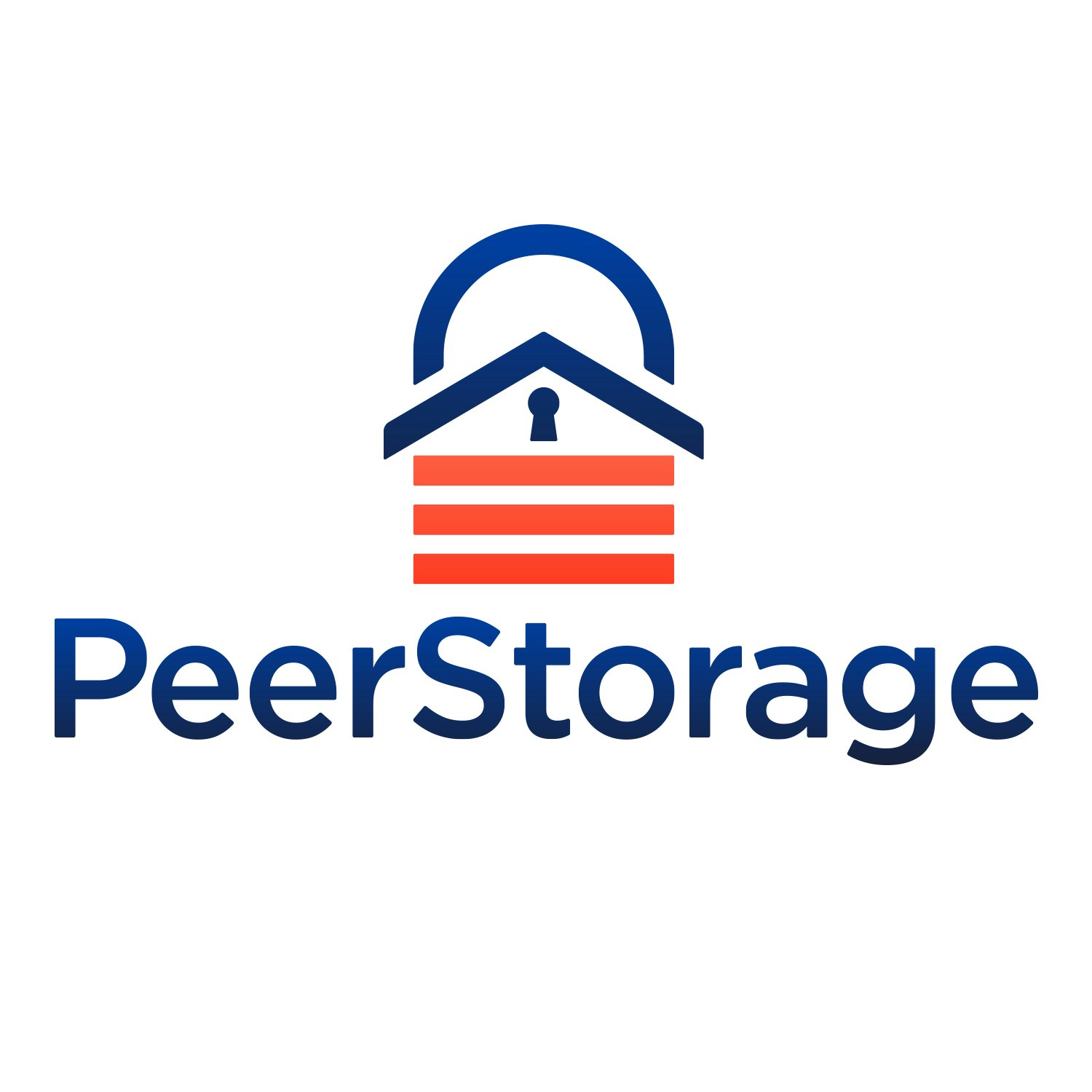 PeerStorage