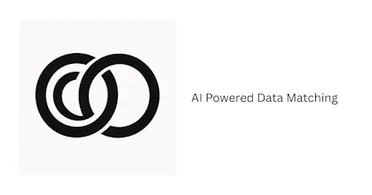 MergeItAI: Instantly Match Messy Data gallery image