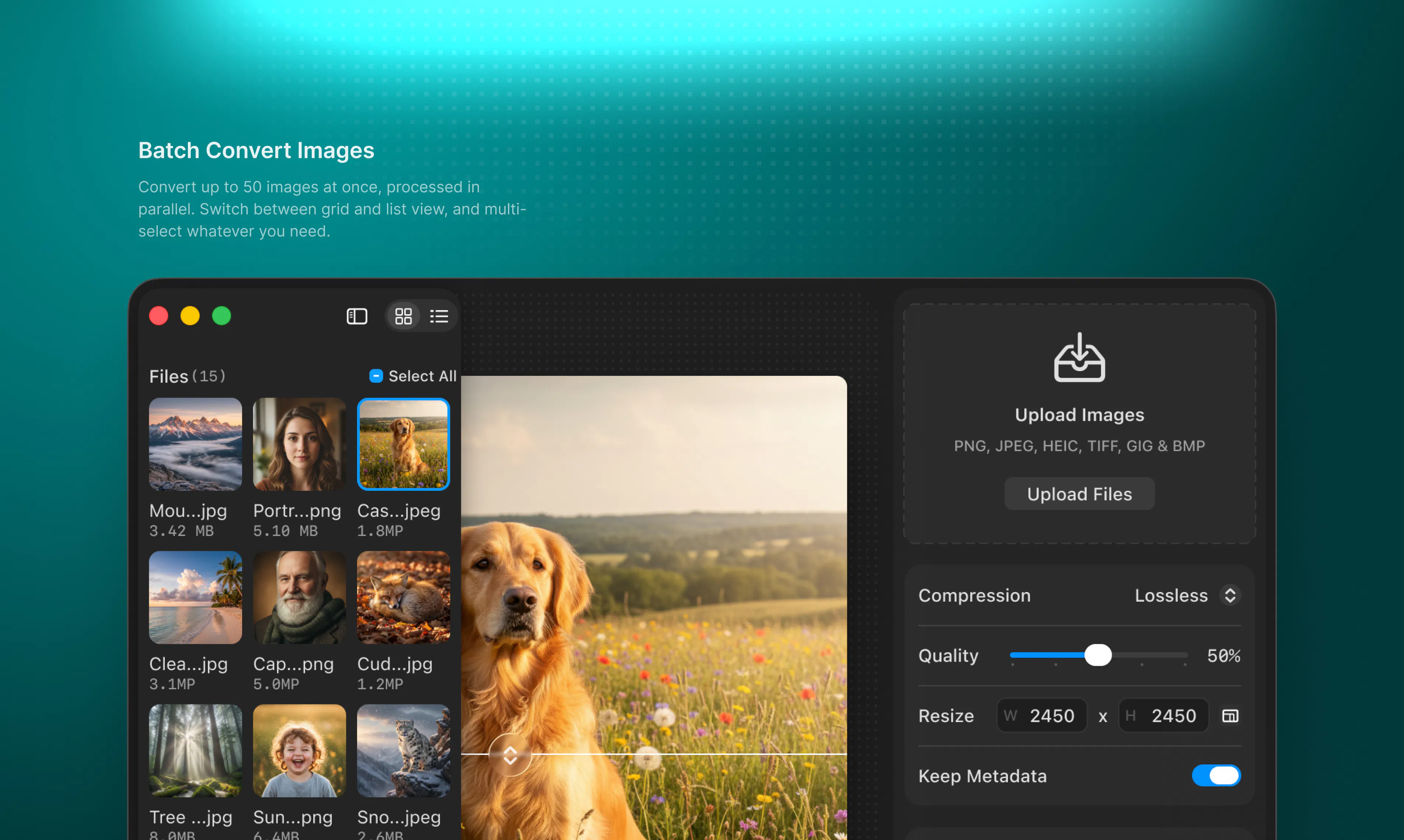 TinyWebP gallery image