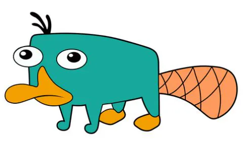 Platyps gallery image