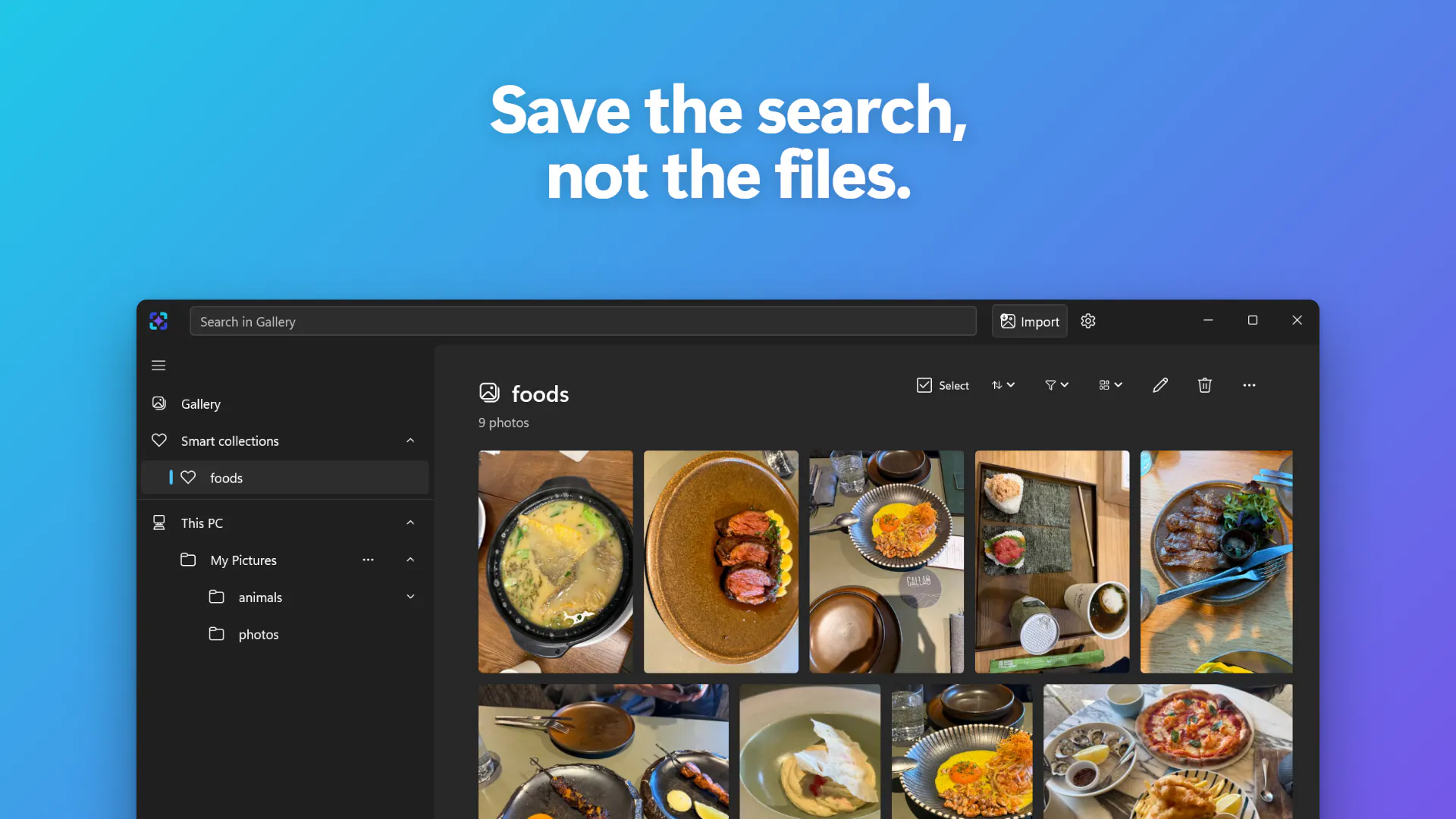 ImageSage AI photo manager gallery image