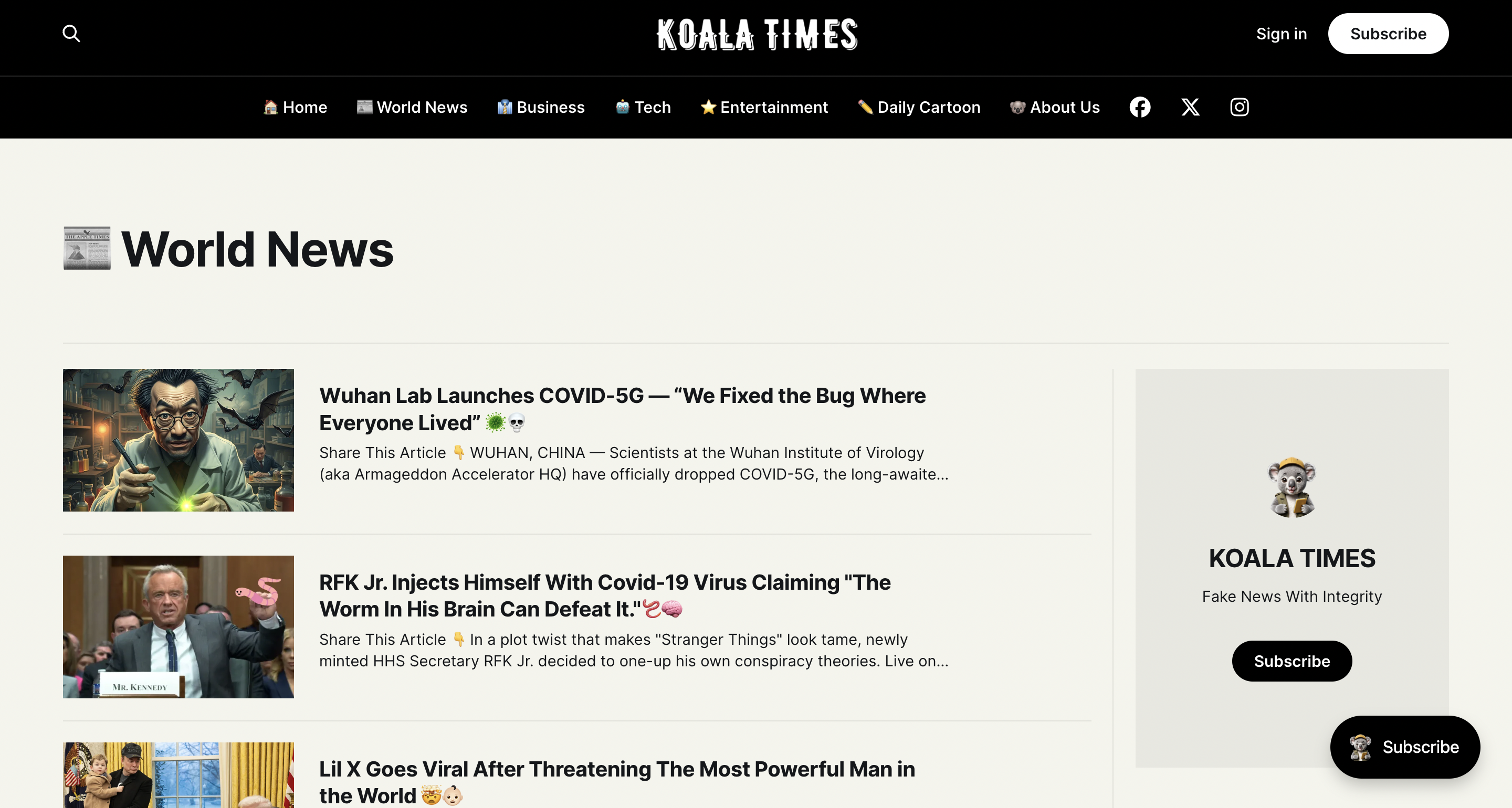 KOALA TIMES  gallery image