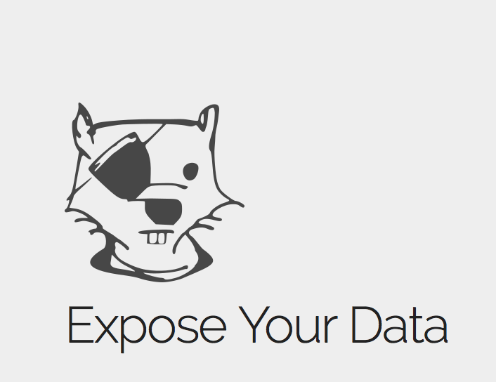 API Castor gallery image