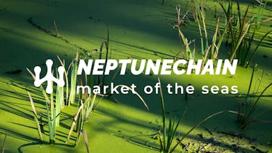 NeptuneChain gallery image