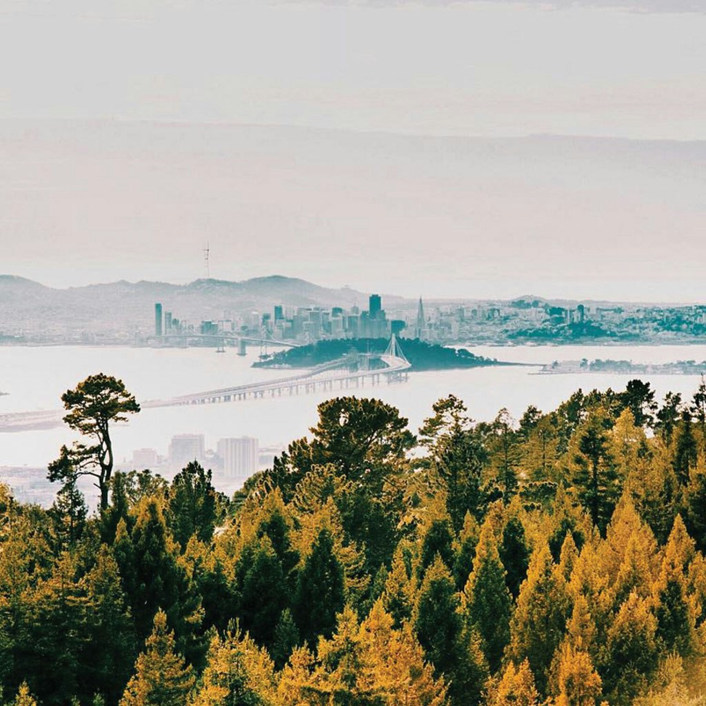 Console.fm - Artisan 018