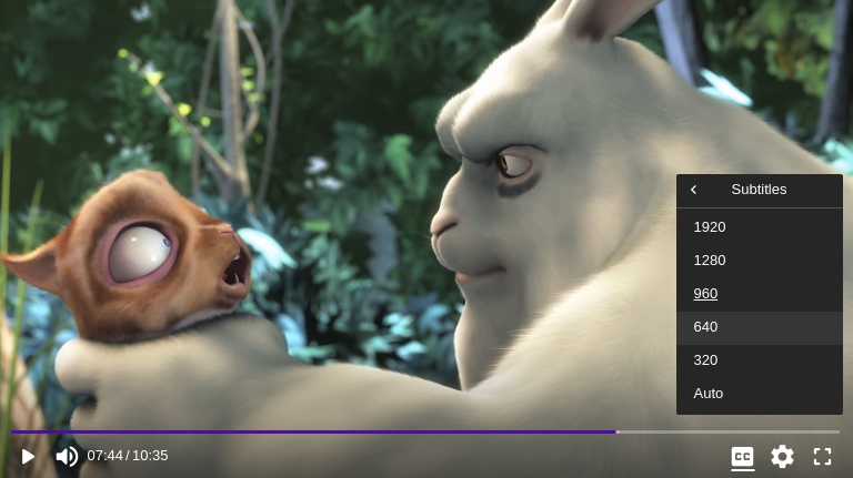 Indigo Web Player gallery image