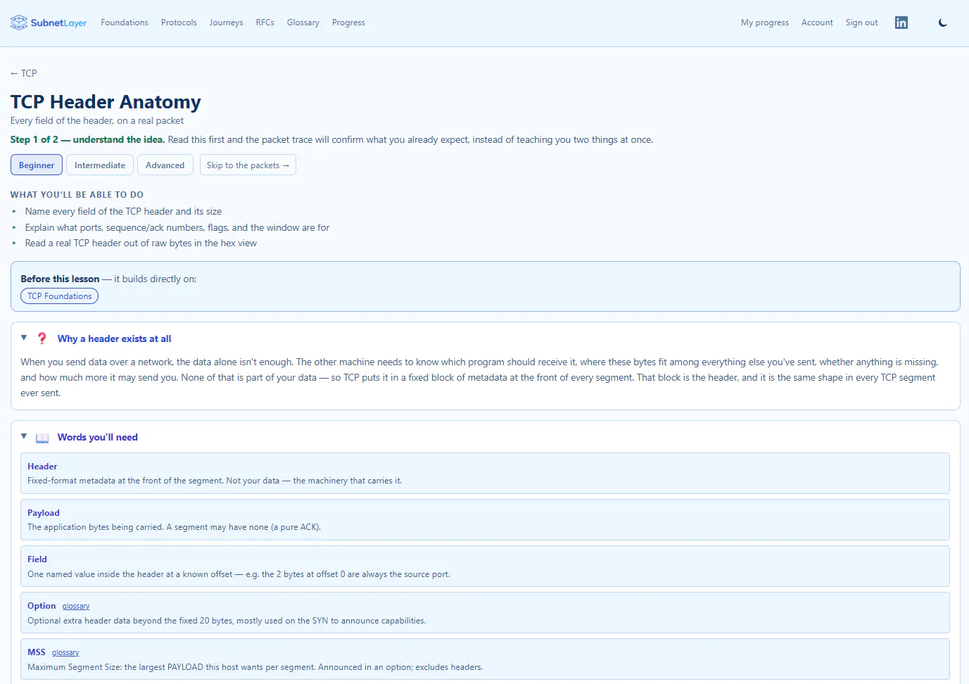 SubnetLayer: Learn Protocols Visually gallery image