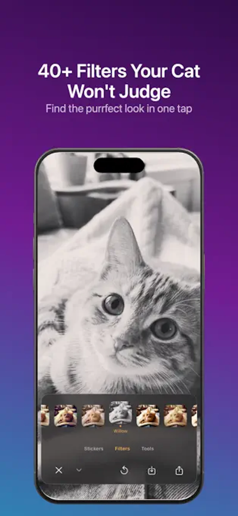 Caticker - Cat Photo Stickers screenshot 4