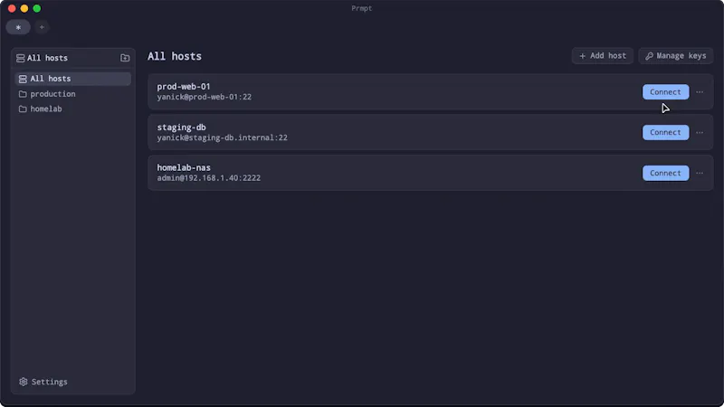 Prmpt screenshot 2