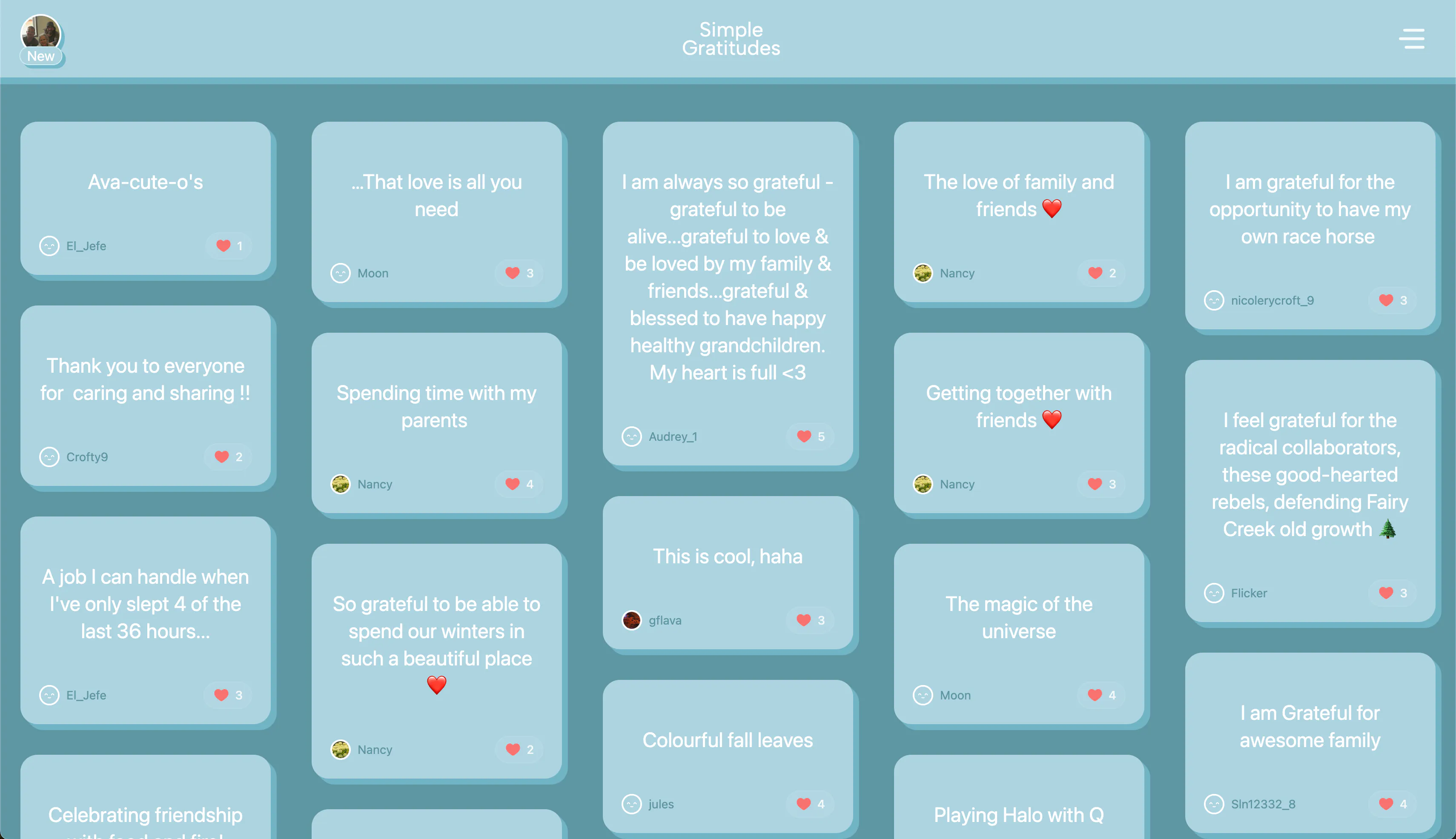 Screenshot 1