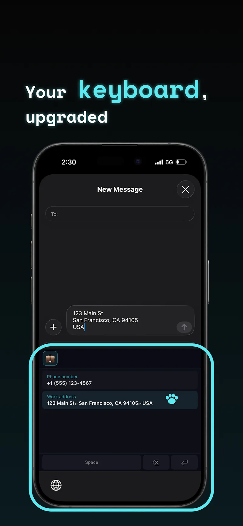copipi screenshot 2