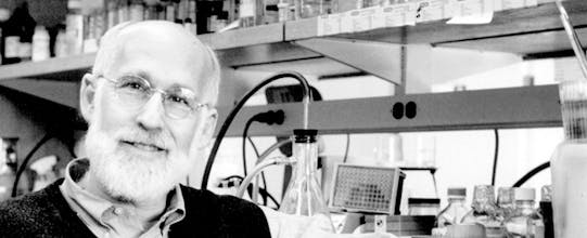 How Doctors Think gallery image