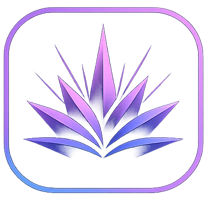 Vibe Academy by Maguey.io