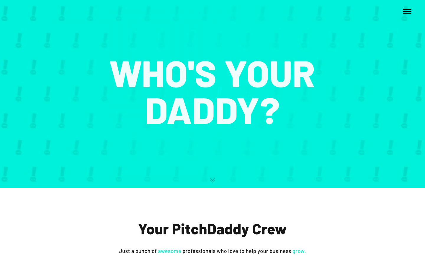 PitchDaddy gallery image