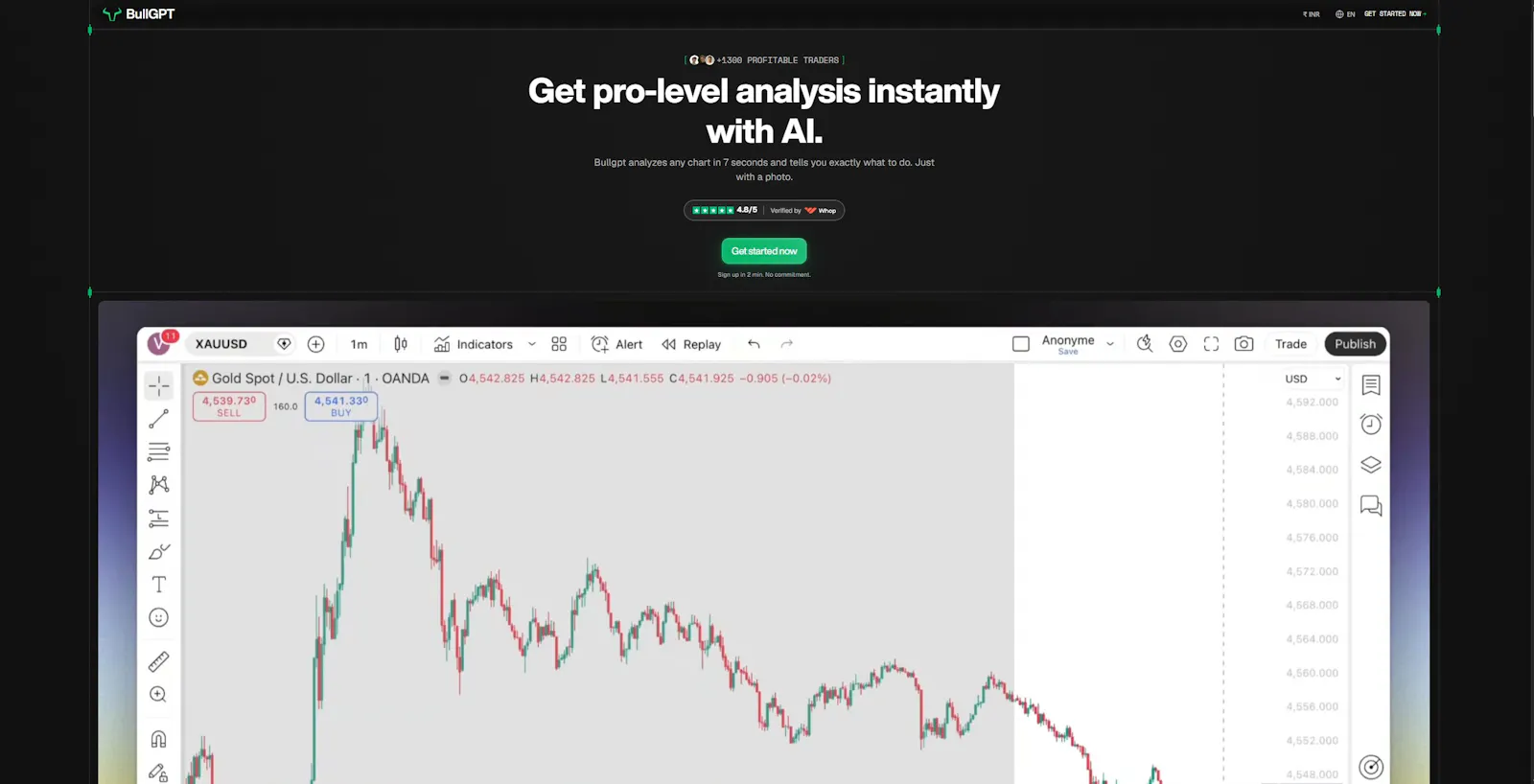 Bull GPT screenshot 2