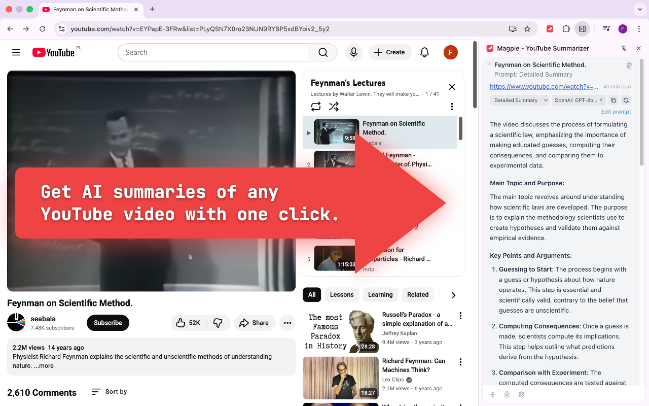 Magpie - YouTube Summarizer gallery image