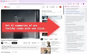 Magpie - YouTube Summarizer gallery image