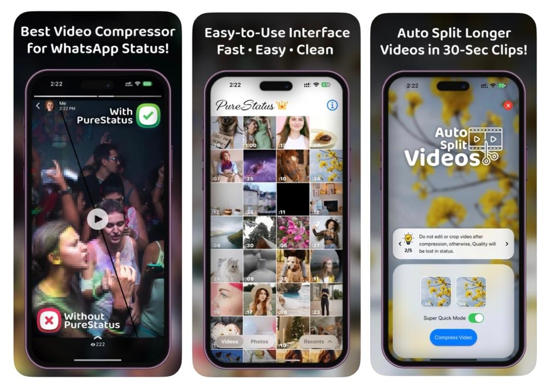 Purestatus - Dì addio allo status di sfocatura di Whatsapp media 4