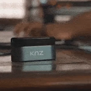 SoundFlux Earbuds