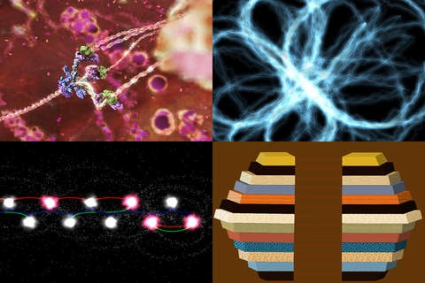 Björk's Biophilia gallery image