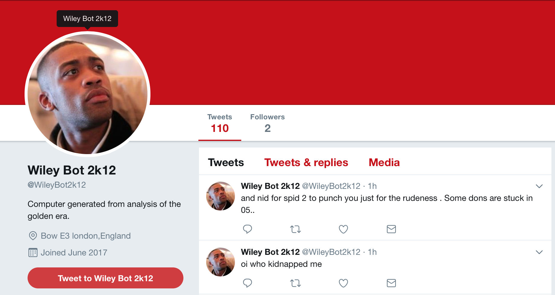 Wiley Bot 2k12 gallery image