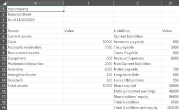 AuditFlow gallery image