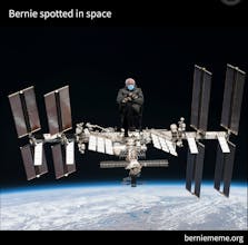 MemeBernie.org gallery image