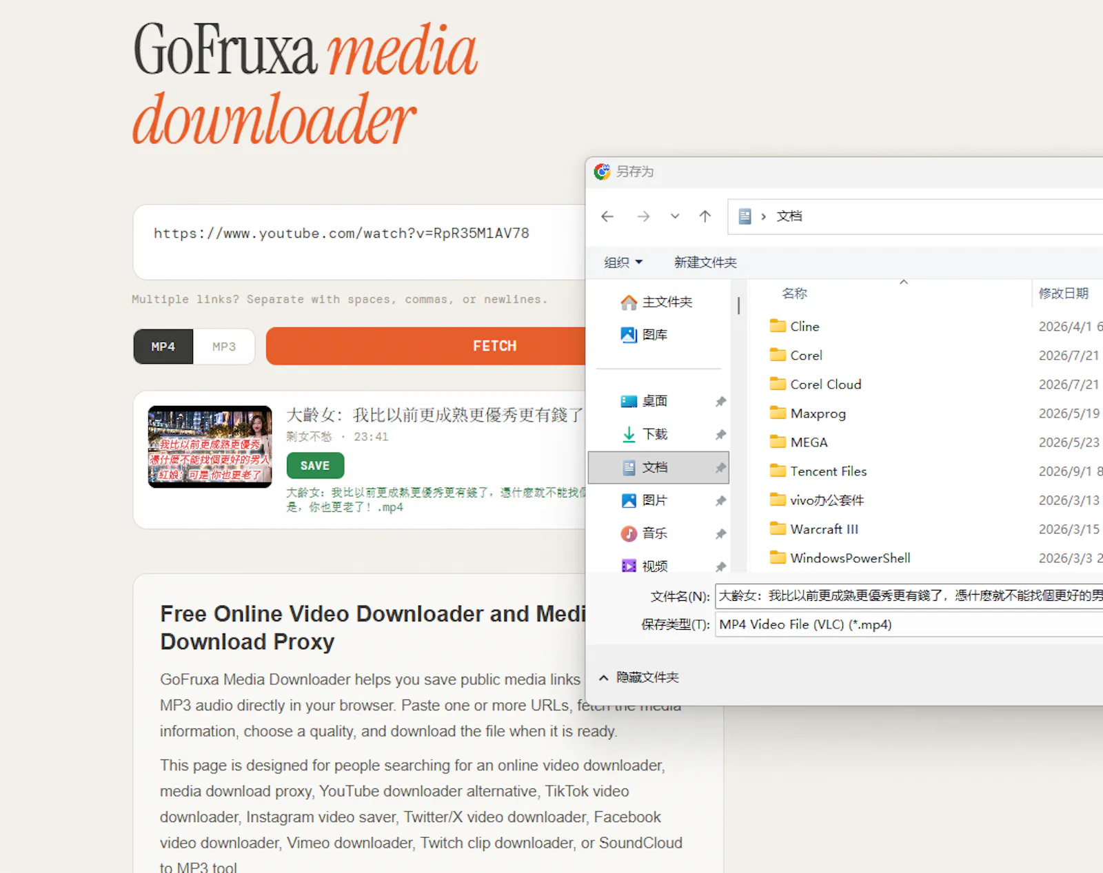 Universal video downloader screenshot 2