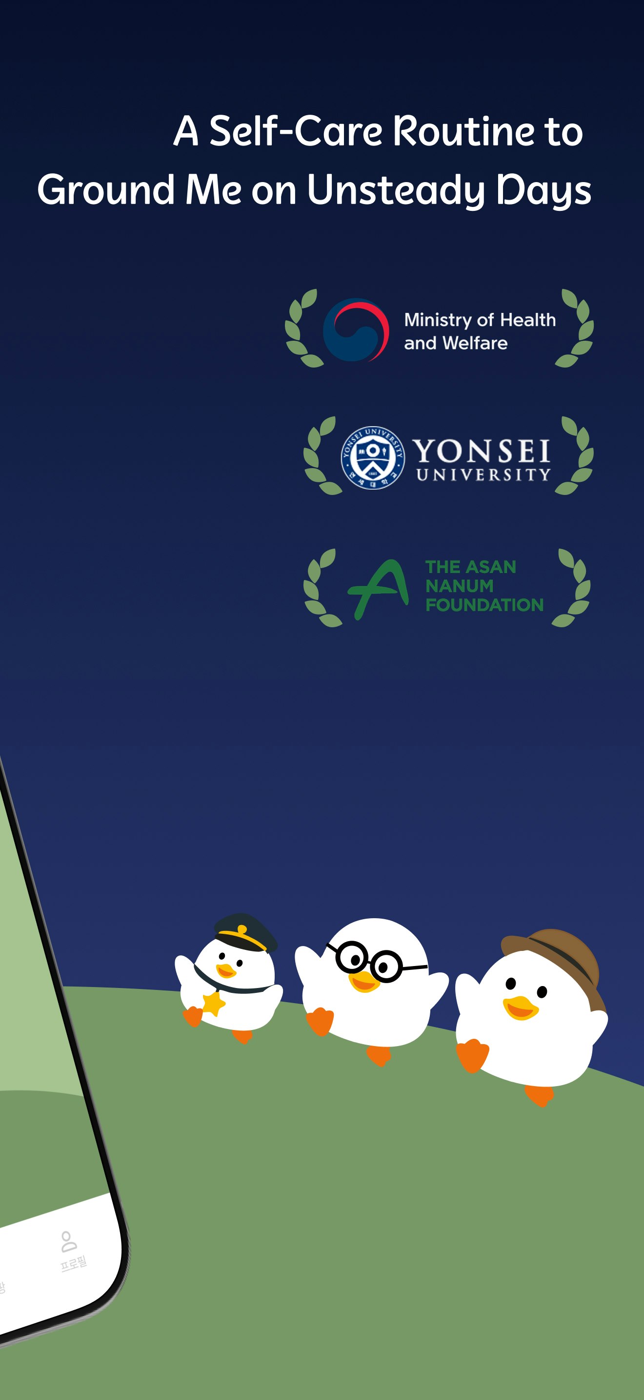 Duck's Dream gallery image