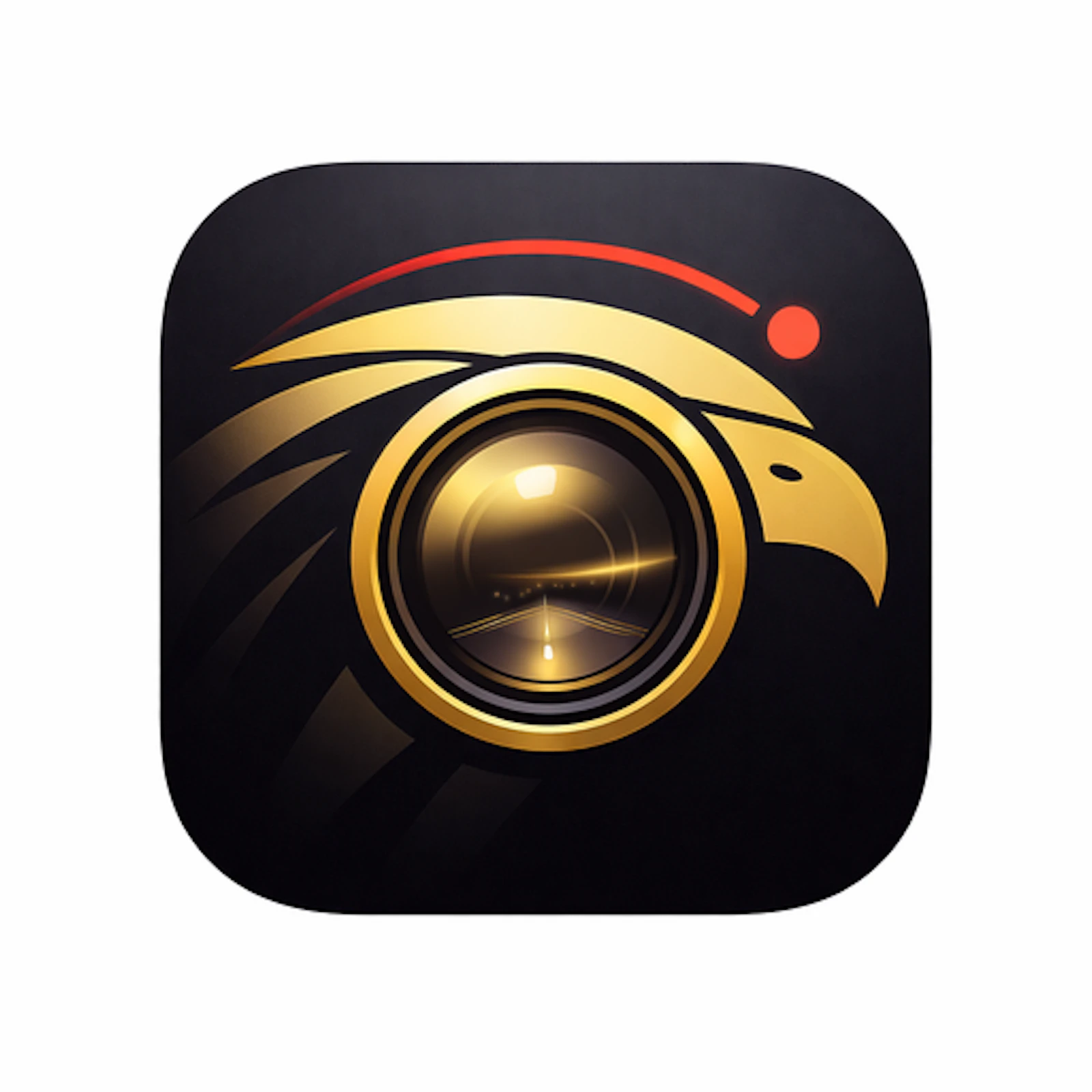 Hawk by MRVL screenshot 1