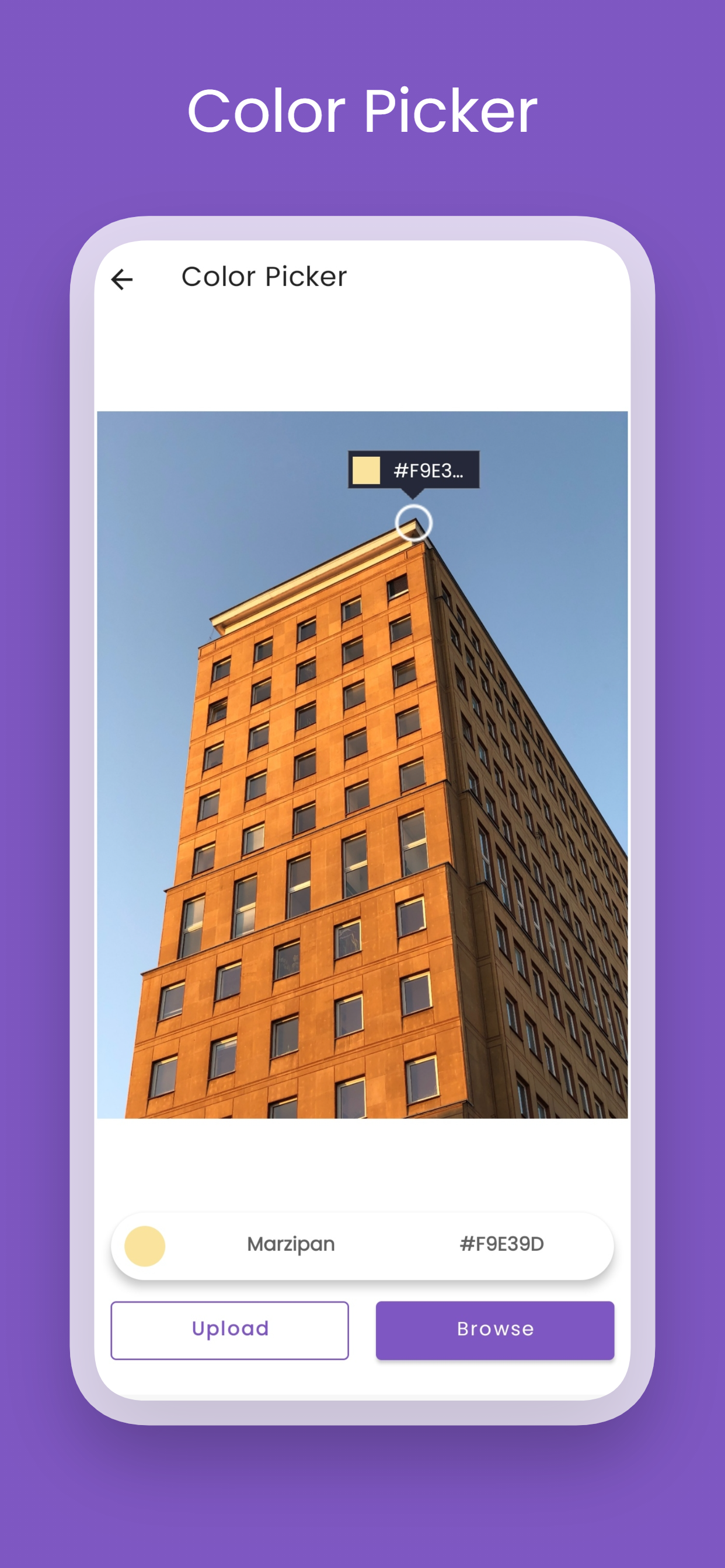 Gramly gallery image