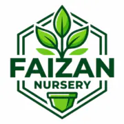 faizannursery