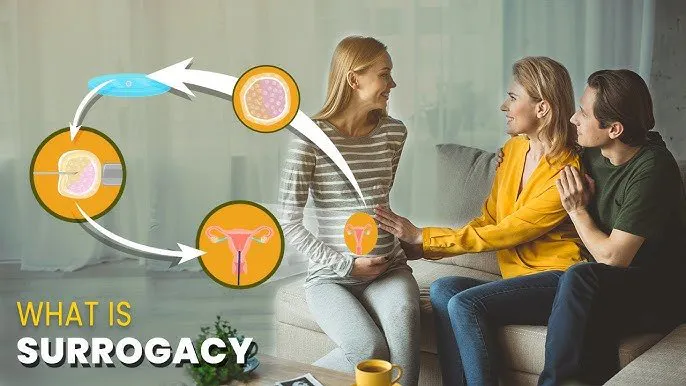 Next IVF gallery image