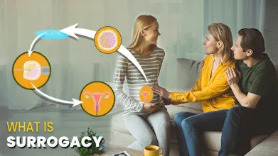 Next IVF gallery image