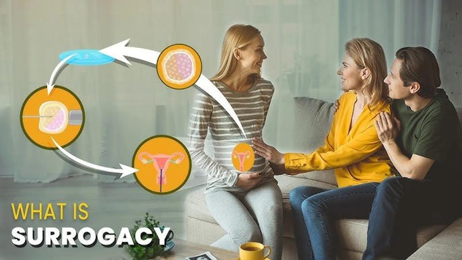 Next IVF screenshot 1