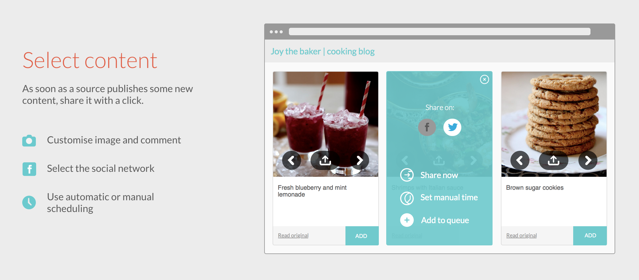Fanchimp gallery image