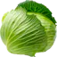 I grow cabbage
