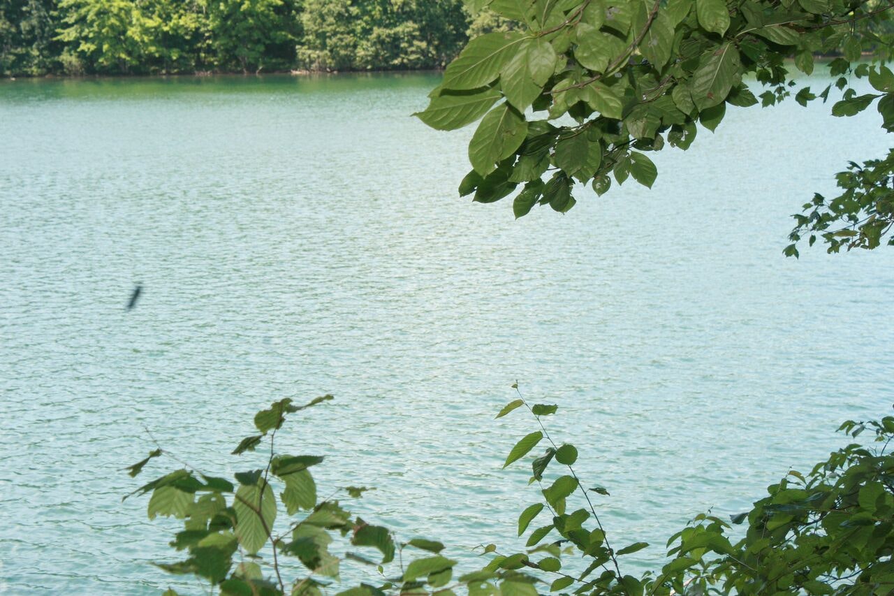 Ralos Case gallery image