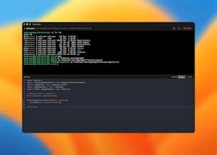 Pluto Door gallery image