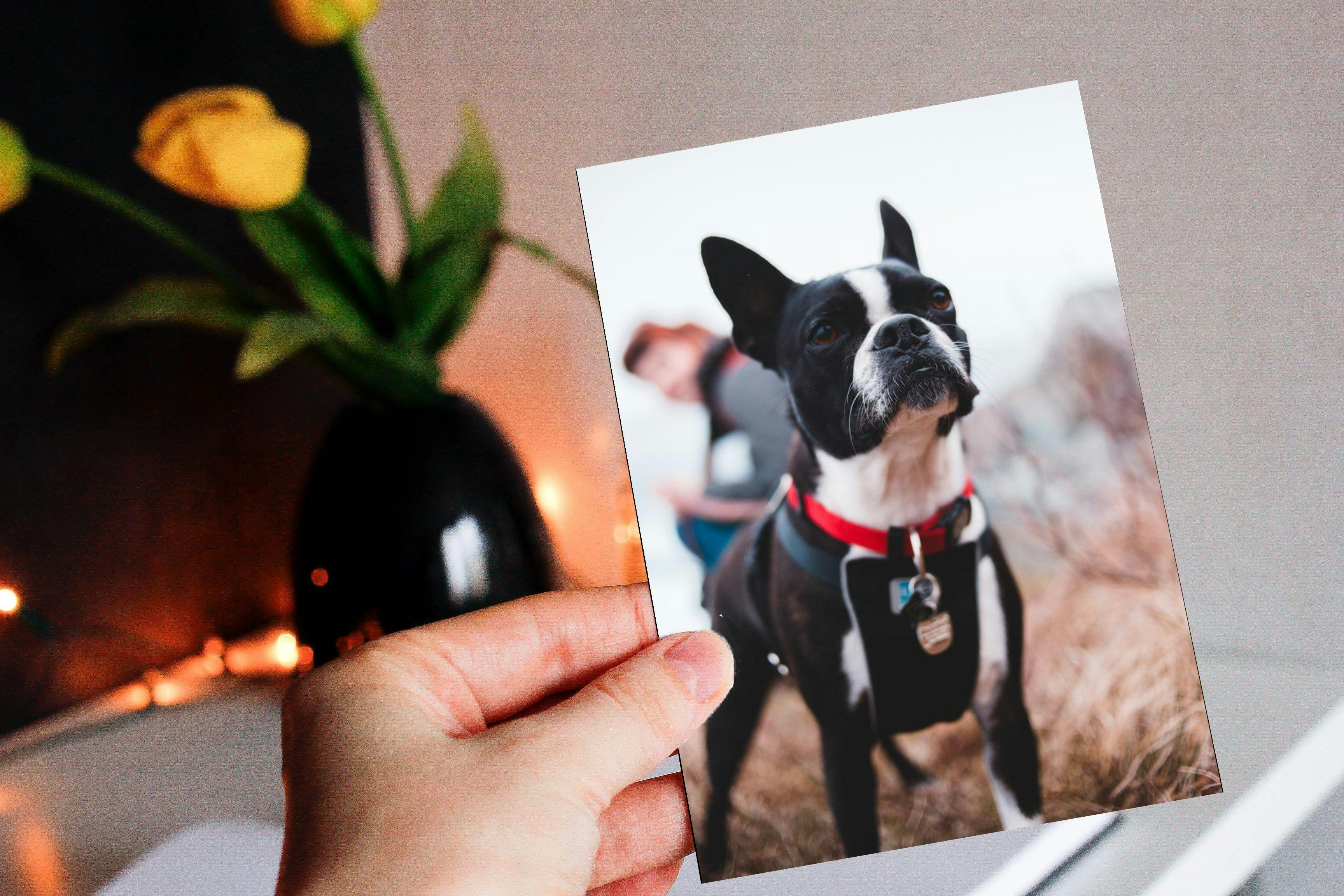 Melon Post gallery image